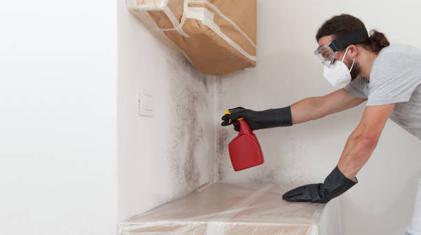 Professional Attic Mold Remediation technician working in Lehigh Acres, FL